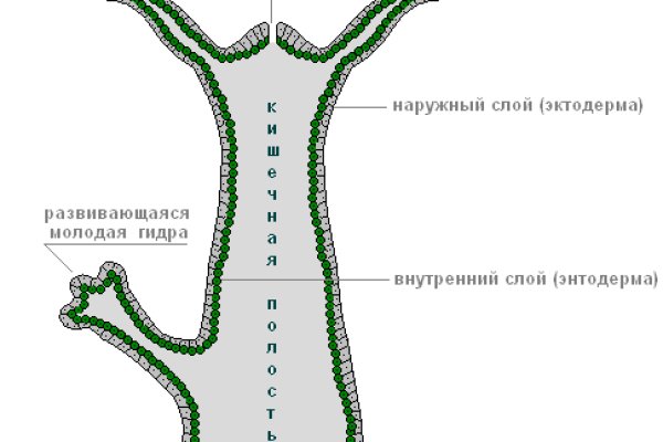 Кракен что за сайт