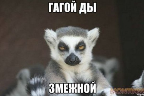 Ссылки на кракена и на мегу