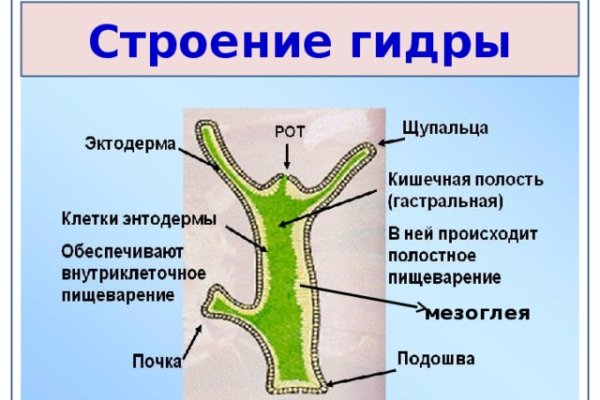 Кракен как зайти через тор браузер